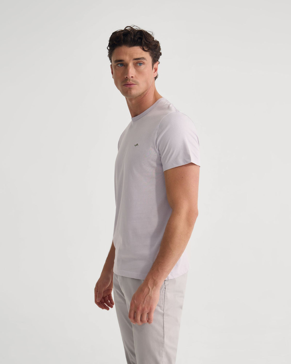 Ben Organic Crew Neck T Shirt MENS KNITS