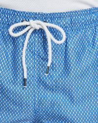 REECE SWIM BOARD SHORTS BLUE