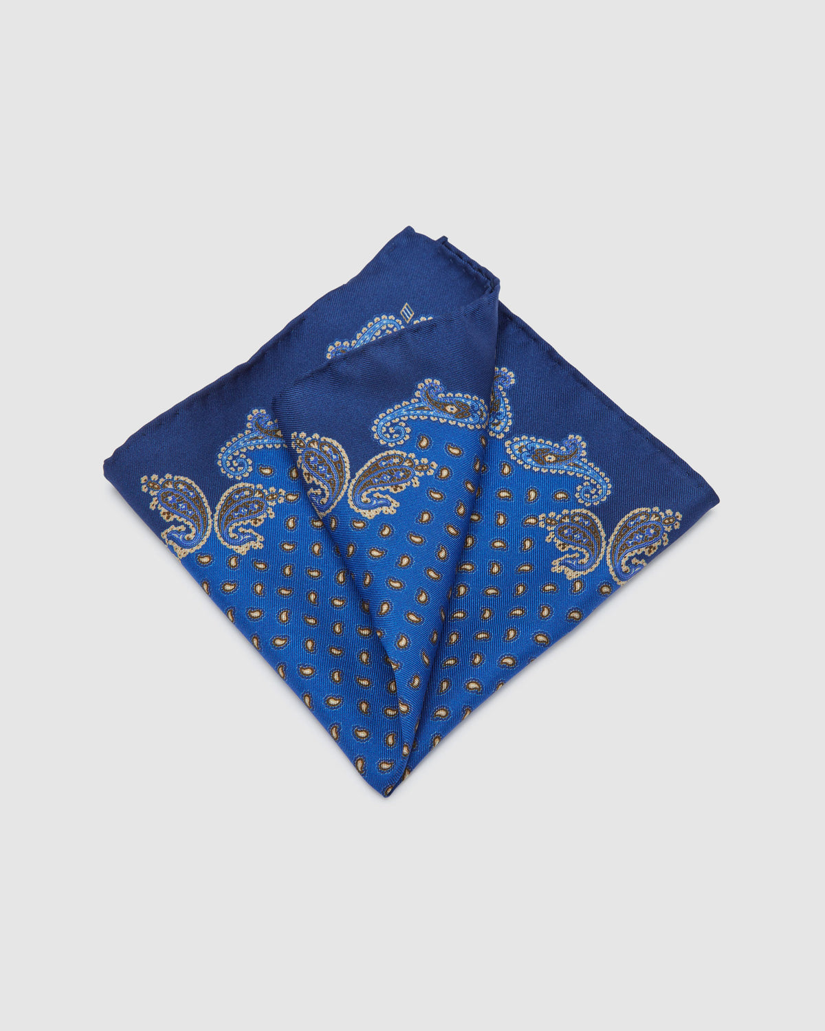BORDER PAISLEY POCKET SQUARE