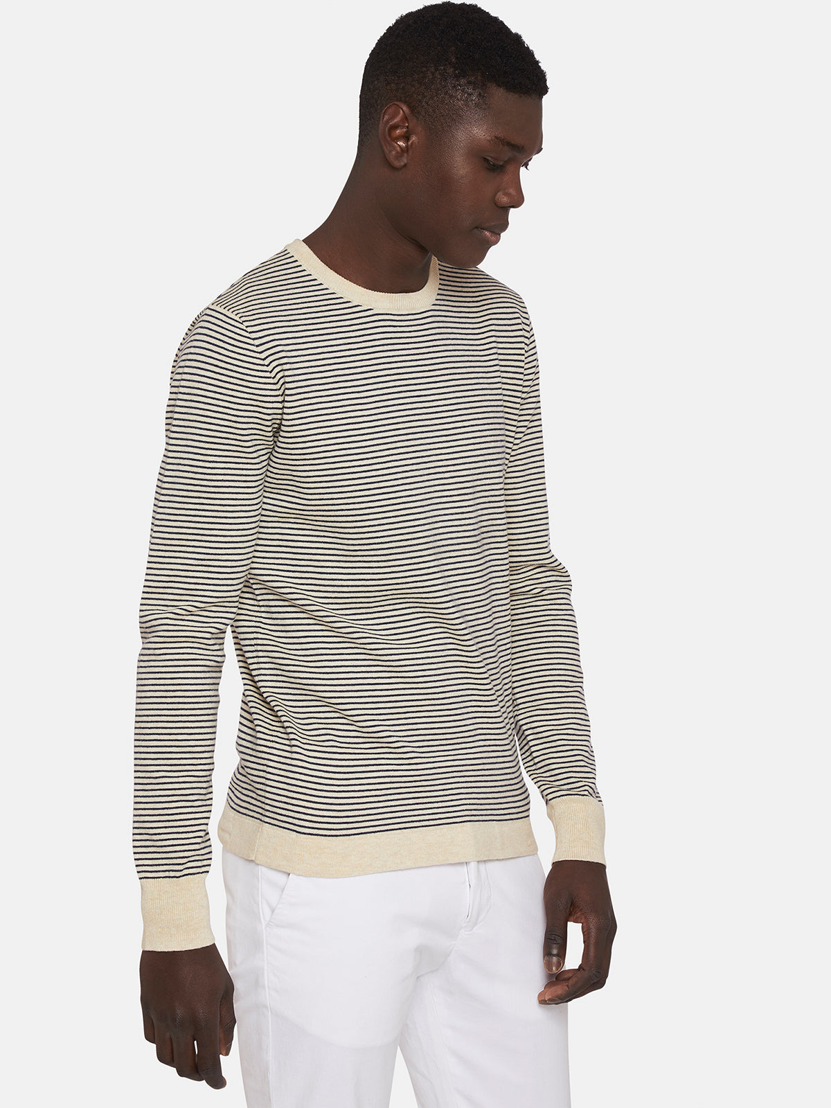 WILL PIMA COTTON STRIPED KNIT