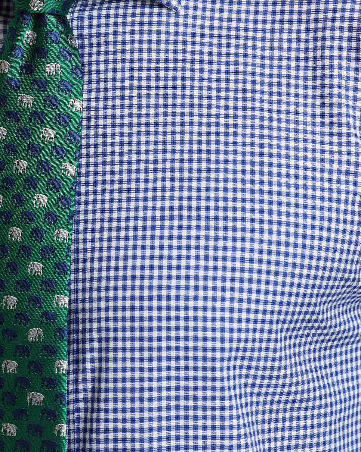 Islington Regular Fit Checked Shirt